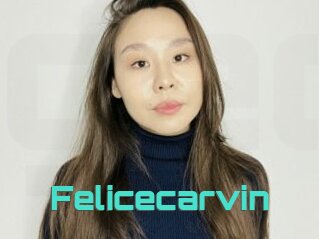Felicecarvin