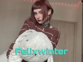 Felixwinter