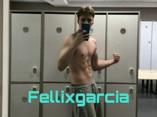 Fellixgarcia
