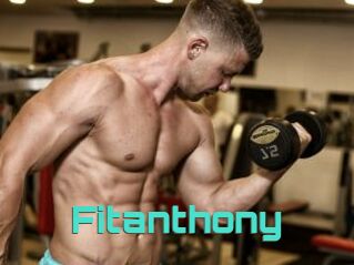 fitanthony Grizzli Edition