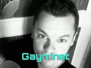 Gayminet