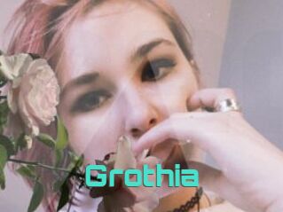 Grothia