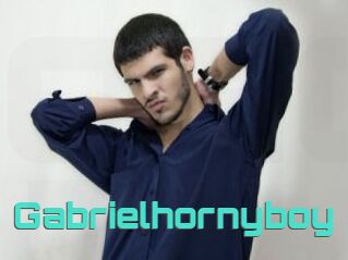 Gabrielhornyboy