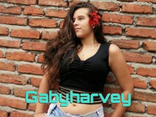 Gabyharvey