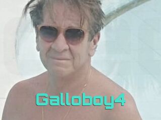 Galloboy4