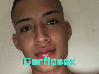 Garfiosex