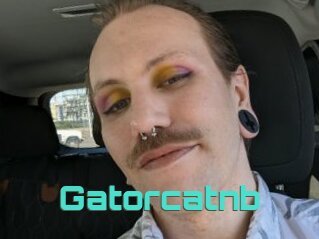 Gatorcatnb