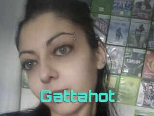 Gattahot