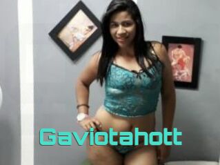 Gaviotahott