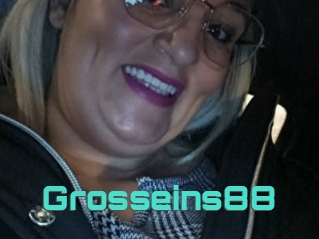 Grosseins88