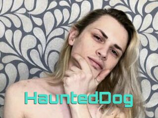 HauntedDog