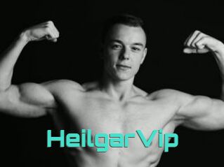 HeilgarVip