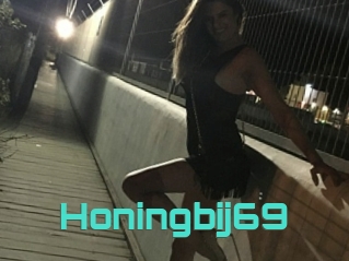 Honingbij69