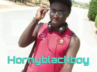 Hornyblackboy