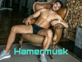 Hamermusk