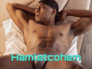 Hamletcohem