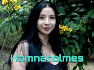 Hamnaholmes
