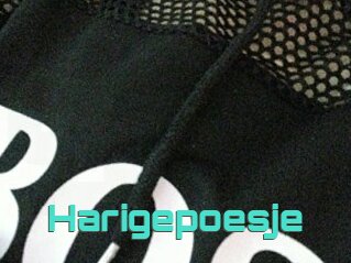 Harigepoesje