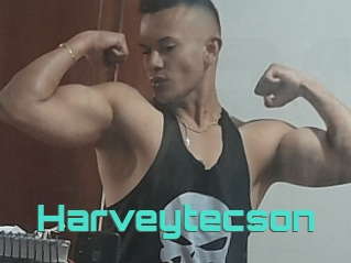 Harveytecson