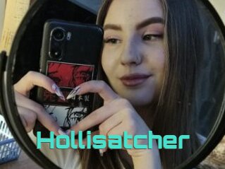 Hollisatcher