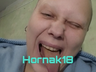 Hornak18