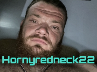 Hornyredneck22