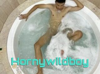 Hornywildboy