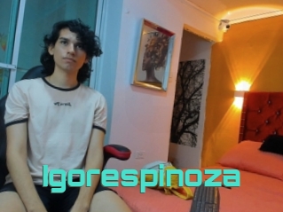 Igorespinoza