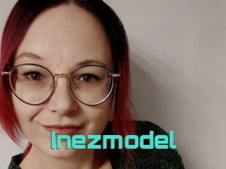 Inezmodel