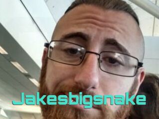 Jakesbigsnake