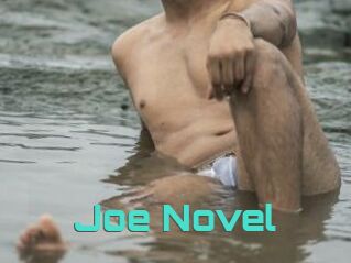 Joe_Novel