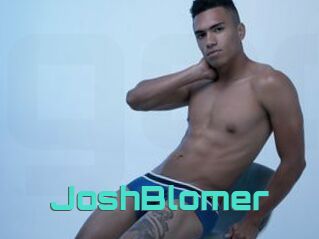 JoshBlomer