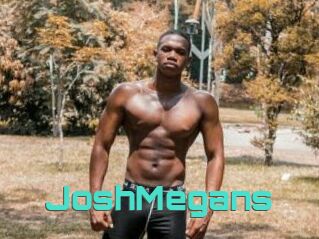 JoshMegans