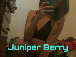 Juniper_Berry