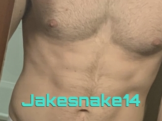 Jakesnake14