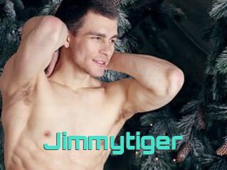 Jimmytiger