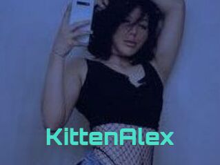 KittenAlex