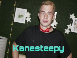 Kanesteepy