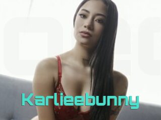 Karlieebunny