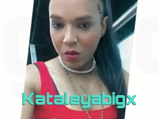 Kataleyabigx