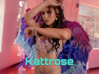 Kattrose