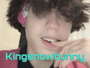 Kingsnowbunny