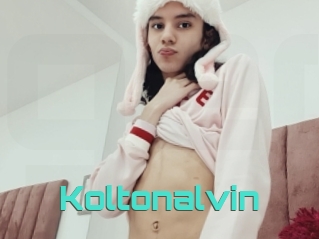 Koltonalvin