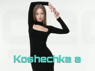 Koshechka_a