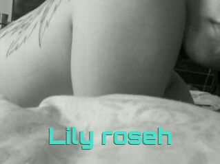 Lily_roseh