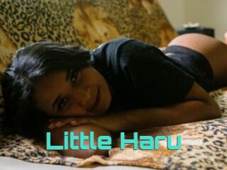 Little_Haru