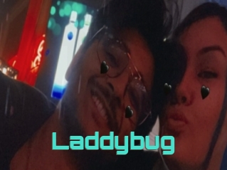 Laddybug