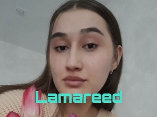 Lamareed