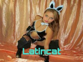 latincat Grizzli Edition