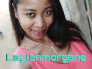 Laylahmorgane